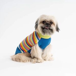 CIRCUS STRIPE DOG SWEATER by Veraloop